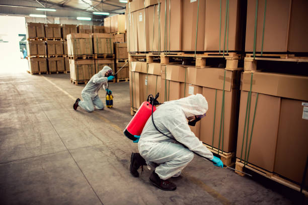 Best Affordable Pest Control Services  in Gresham Park, GA