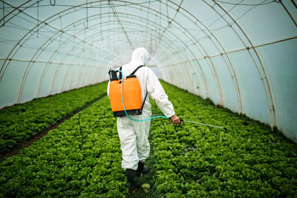 Best Residential Pest Control  in Gresham Park, GA
