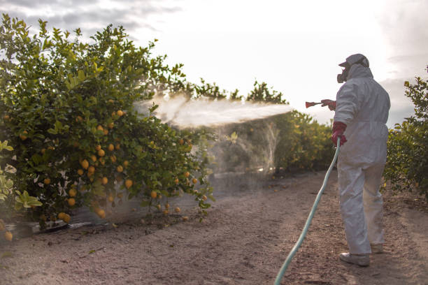 Best Insect Control  in Gresham Park, GA